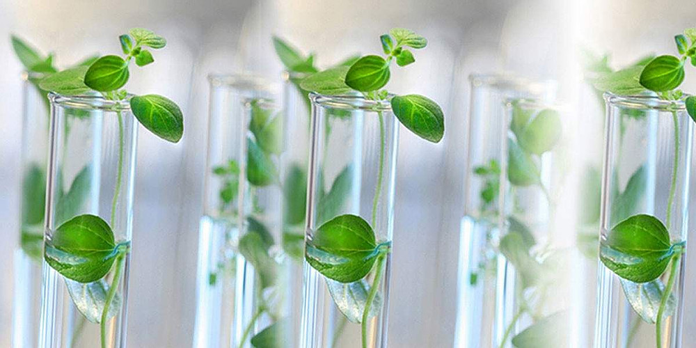 Water Soluble Packaging